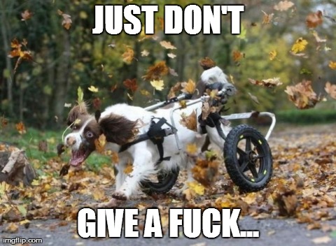 JUST DON'T GIVE A F**K... | image tagged in funny,dogs | made w/ Imgflip meme maker
