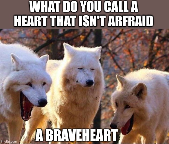 Laughing wolf | WHAT DO YOU CALL A HEART THAT ISN'T ARFRAID; A BRAVEHEART | image tagged in laughing wolf | made w/ Imgflip meme maker