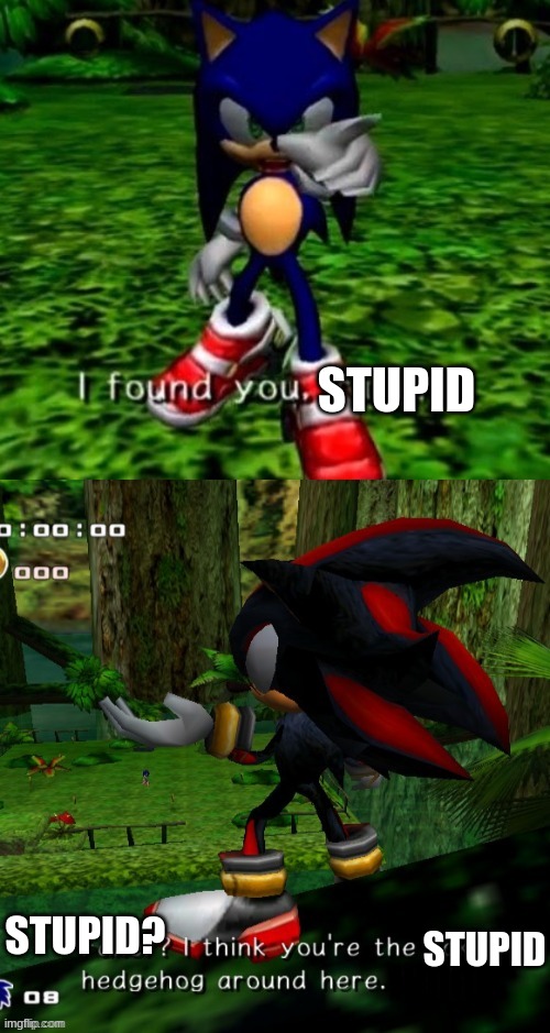 "I found you, stupid!" Blank Meme Template