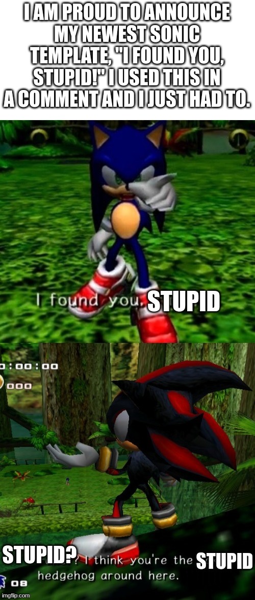 No need for a title here! | I AM PROUD TO ANNOUNCE MY NEWEST SONIC TEMPLATE, "I FOUND YOU, STUPID!" I USED THIS IN A COMMENT AND I JUST HAD TO. | image tagged in i found you stupid | made w/ Imgflip meme maker