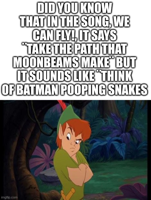 My cousin showed me this | DID YOU KNOW THAT IN THE SONG, WE CAN FLY!, IT SAYS ¨TAKE THE PATH THAT MOONBEAMS MAKE¨ BUT IT SOUNDS LIKE ¨THINK OF BATMAN POOPING SNAKES | image tagged in peter pan syndrome,wait a minute,peter pan,funny,downvote begging | made w/ Imgflip meme maker