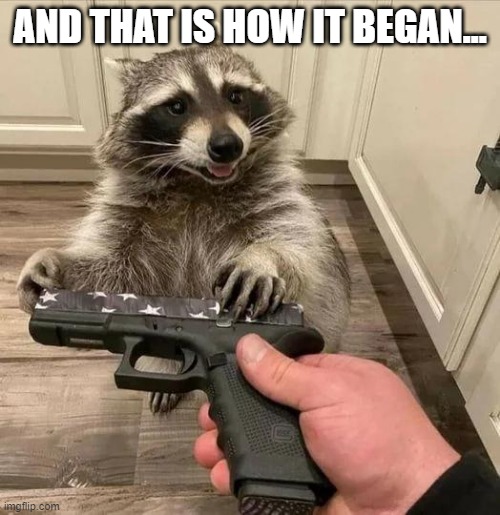 Rocket's Obsession | AND THAT IS HOW IT BEGAN... | image tagged in rocket raccoon | made w/ Imgflip meme maker