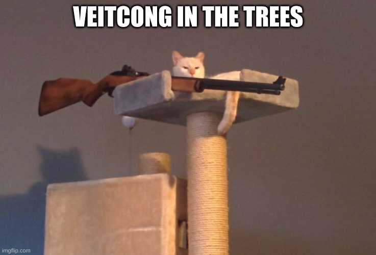 cat with a gun | VEITCONG IN THE TREES | image tagged in cat with a gun | made w/ Imgflip meme maker