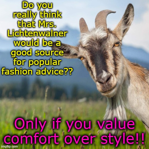 creepy condescending goat | Do you really think that Mrs. Lichtenwalner would be a good source for popular fashion advice?? Only if you value comfort over style!! | image tagged in creepy condescending goat | made w/ Imgflip meme maker