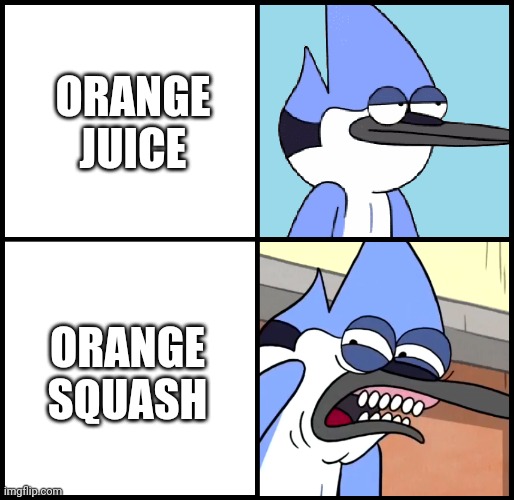 Orange Squash Sucks | ORANGE JUICE; ORANGE SQUASH | image tagged in mordecai disgusted,orange juice | made w/ Imgflip meme maker