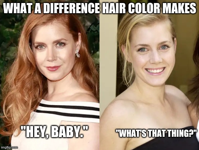 amy hair | WHAT A DIFFERENCE HAIR COLOR MAKES; "WHAT'S THAT THING?"; "HEY, BABY." | image tagged in redhead | made w/ Imgflip meme maker