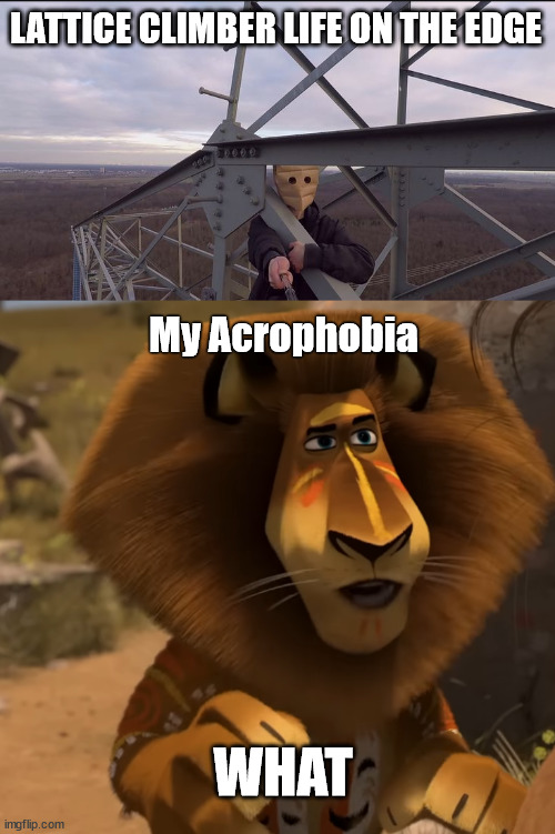 LATTICE CLIMBER LIFE ON THE EDGE; My Acrophobia; WHAT | image tagged in alex the lion | made w/ Imgflip meme maker