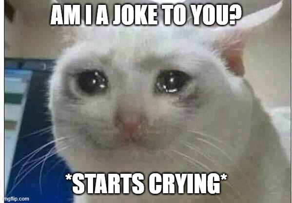 crying cat | AM I A JOKE TO YOU? *STARTS CRYING* | image tagged in crying cat | made w/ Imgflip meme maker