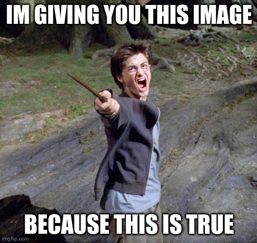 Harry potter | IM GIVING YOU THIS IMAGE BECAUSE THIS IS TRUE | image tagged in harry potter | made w/ Imgflip meme maker