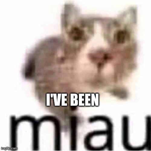 miau | I'VE BEEN | image tagged in miau | made w/ Imgflip meme maker