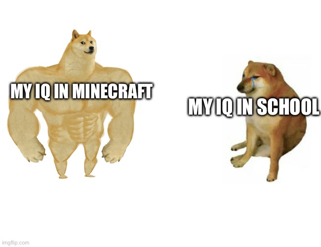 My birthday was when Minecraft was released | MY IQ IN MINECRAFT; MY IQ IN SCHOOL | image tagged in memes,buff doge vs cheems,minecraft,school | made w/ Imgflip meme maker