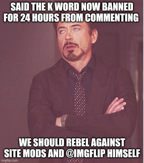 Face You Make Robert Downey Jr Meme | SAID THE K WORD NOW BANNED FOR 24 HOURS FROM COMMENTING; WE SHOULD REBEL AGAINST SITE MODS AND @IMGFLIP HIMSELF | image tagged in memes,face you make robert downey jr | made w/ Imgflip meme maker