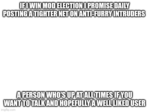 My ballot for the election | IF I WIN MOD ELECTION I PROMISE DAILY POSTING A TIGHTER NET ON ANTI-FURRY INTRUDERS; A PERSON WHO'S UP AT ALL TIMES IF YOU WANT TO TALK AND HOPEFULLY A WELL LIKED USER | made w/ Imgflip meme maker