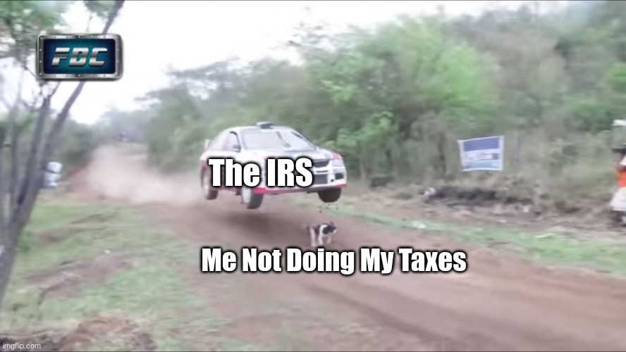 Race car fly over dog | The IRS; Me Not Doing My Taxes | image tagged in race car fly over dog | made w/ Imgflip meme maker