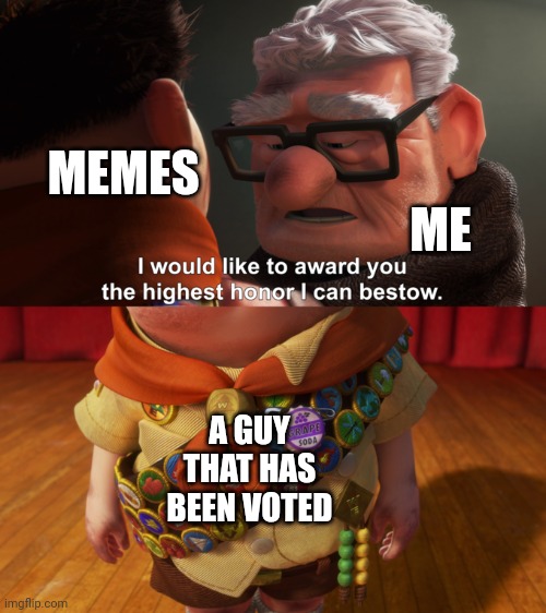 I can make them all memes | MEMES; ME; A GUY THAT HAS BEEN VOTED | image tagged in highest honor,memes | made w/ Imgflip meme maker