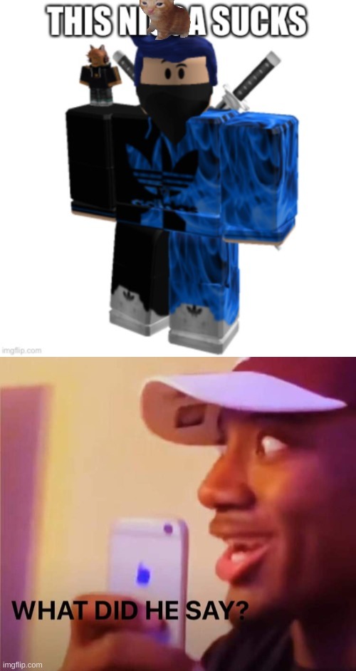 https://imgflip.com/i/7hopvr | image tagged in what did he say | made w/ Imgflip meme maker