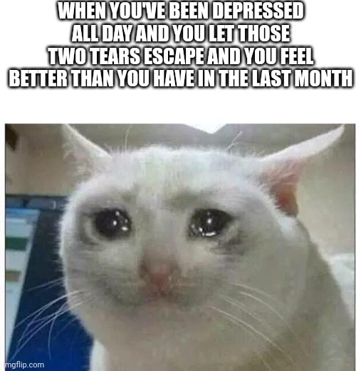 crying cat | WHEN YOU'VE BEEN DEPRESSED ALL DAY AND YOU LET THOSE TWO TEARS ESCAPE AND YOU FEEL BETTER THAN YOU HAVE IN THE LAST MONTH | image tagged in crying cat,memes,funny,so true memes,relatable memes | made w/ Imgflip meme maker