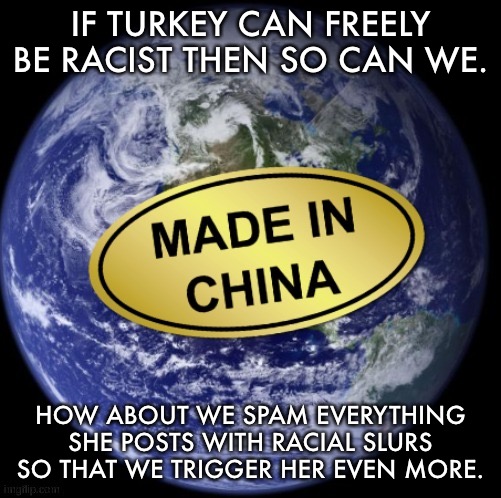Earth Was Made In China | IF TURKEY CAN FREELY BE RACIST THEN SO CAN WE. HOW ABOUT WE SPAM EVERYTHING SHE POSTS WITH RACIAL SLURS SO THAT WE TRIGGER HER EVEN MORE. | image tagged in earth was made in china | made w/ Imgflip meme maker