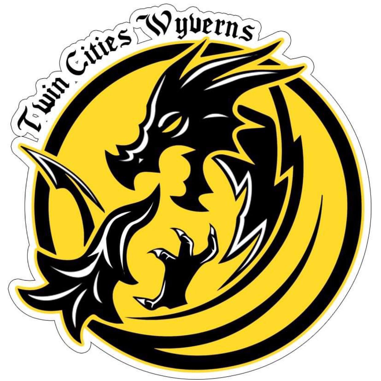 Twin Cities Wyverns Blank Meme Template