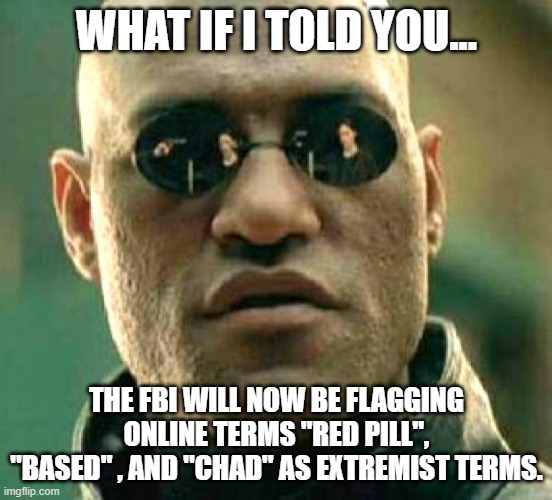 These terms will longer be allowed online and will be flagged by the Stasi FBI | WHAT IF I TOLD YOU... THE FBI WILL NOW BE FLAGGING ONLINE TERMS "RED PILL", "BASED" , AND "CHAD" AS EXTREMIST TERMS. | image tagged in morpheus meme blank,fbi,conservatives,words | made w/ Imgflip meme maker