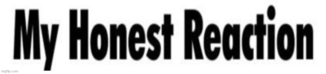 my honest reaction CROPPED | image tagged in my honest reaction cropped | made w/ Imgflip meme maker