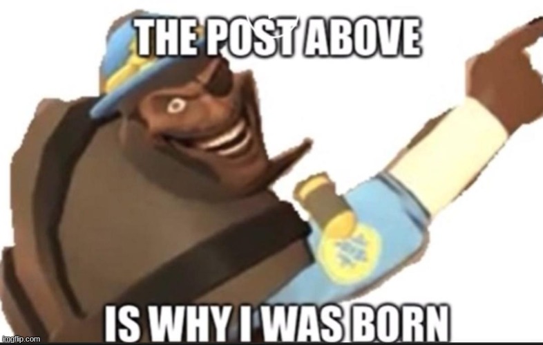 The post above is why i was born | image tagged in the post above is why i was born | made w/ Imgflip meme maker