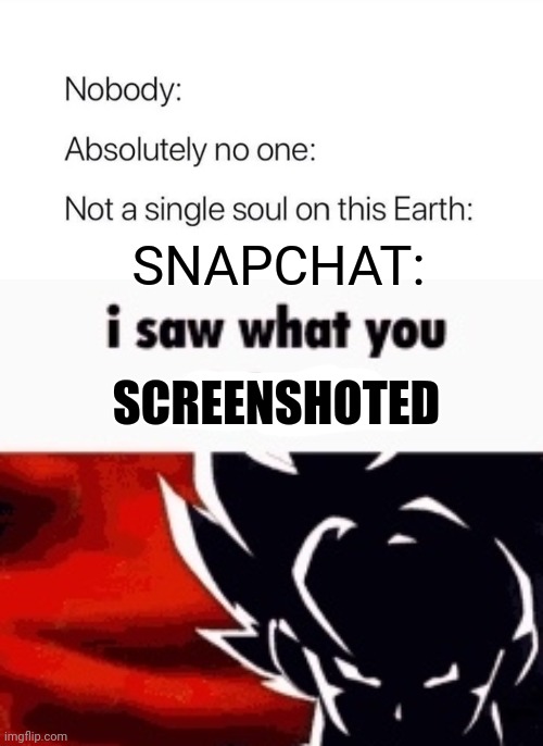 SNAPCHAT:; SCREENSHOTED | image tagged in nobody absolutely no one,i saw what you deleted | made w/ Imgflip meme maker