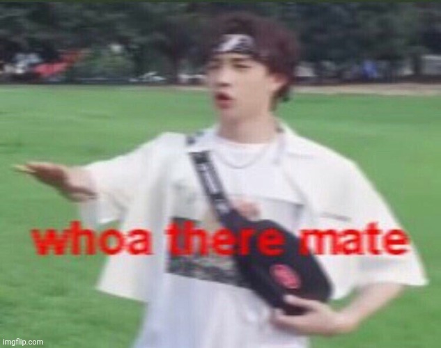 whoa there mate | image tagged in whoa there mate | made w/ Imgflip meme maker