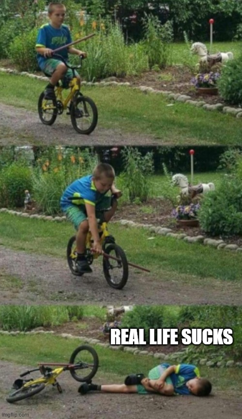 Bike stick kid, real life | REAL LIFE SUCKS | image tagged in bike stick kid real life | made w/ Imgflip meme maker