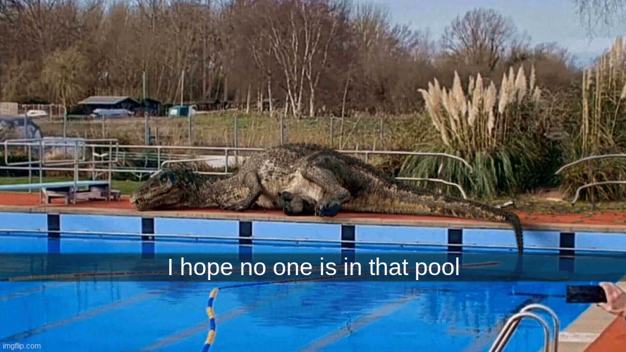 I hope no one is in that pool | made w/ Imgflip meme maker