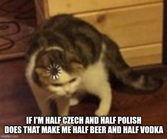 this is random af but i'll end up forgetting about it later | IF I'M HALF CZECH AND HALF POLISH DOES THAT MAKE ME HALF BEER AND HALF VODKA | image tagged in loading cat,czech,poland | made w/ Imgflip meme maker