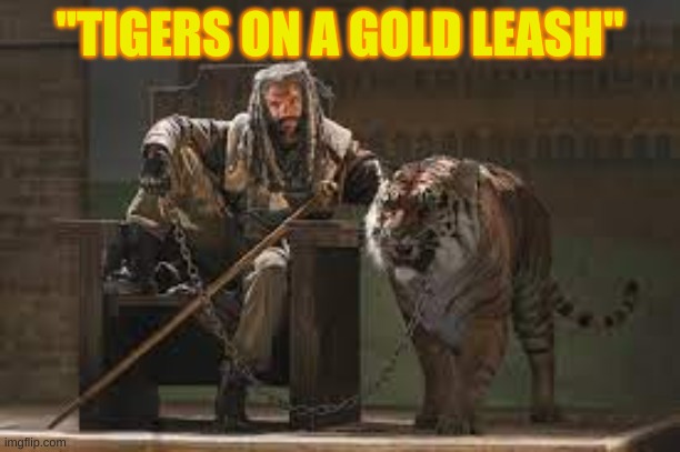 But this boi | "TIGERS ON A GOLD LEASH" | image tagged in the walking dead | made w/ Imgflip meme maker