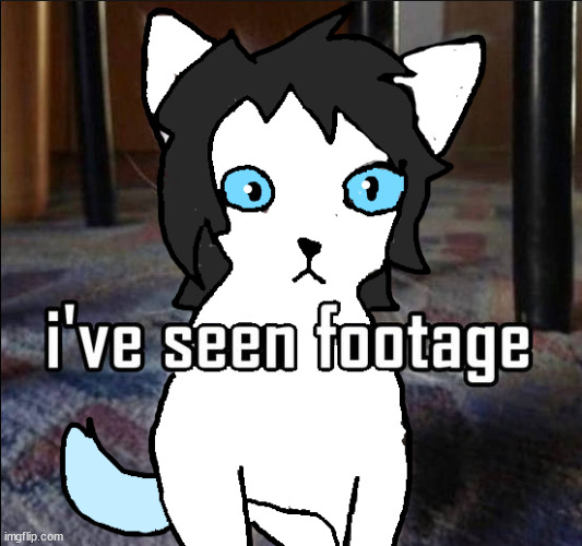 i love how almost all of adib's ocs look the same but he makes them so cute lmao | image tagged in me when i see footage | made w/ Imgflip meme maker
