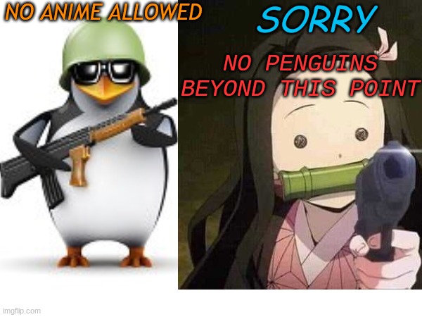 NO ANIME ALLOWED, NO PENGUINS ALLOWED | NO ANIME ALLOWED; SORRY; NO PENGUINS BEYOND THIS POINT | image tagged in no anime penguin,nezuko kamado,anti- anime vs anime | made w/ Imgflip meme maker