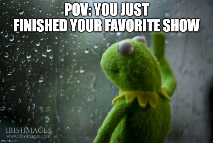 :( | POV: YOU JUST FINISHED YOUR FAVORITE SHOW | image tagged in kermit window | made w/ Imgflip meme maker