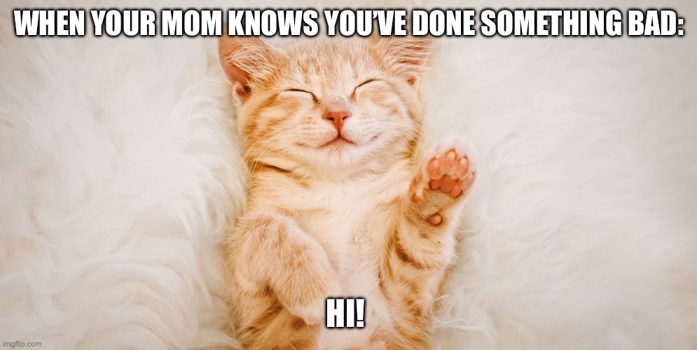Can any one relate? | WHEN YOUR MOM KNOWS YOU’VE DONE SOMETHING BAD:; HI! | image tagged in cats | made w/ Imgflip meme maker