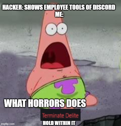 Discord neckbeard's wet dream | HACKER: SHOWS EMPLOYEE TOOLS OF DISCORD 
ME:; WHAT HORRORS DOES; HOLD WITHIN IT | image tagged in suprised patrick,discord | made w/ Imgflip meme maker