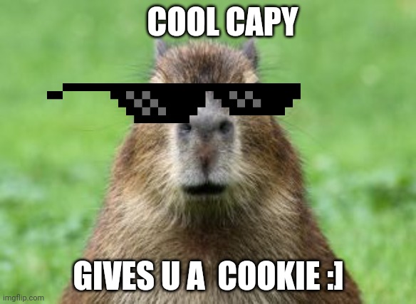 Disappointed Capybara | COOL CAPY; GIVES U A  COOKIE :] | image tagged in disappointed capybara | made w/ Imgflip meme maker