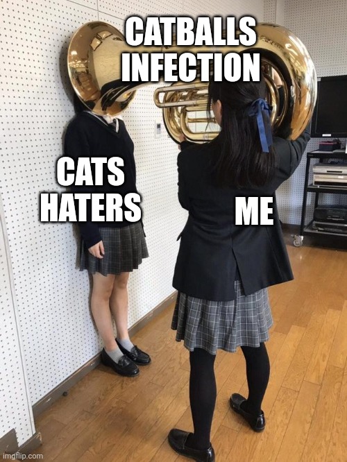Cats haters are kinda hates cats | CATBALLS INFECTION; CATS HATERS; ME | image tagged in girl putting tuba on girl's head,cats | made w/ Imgflip meme maker