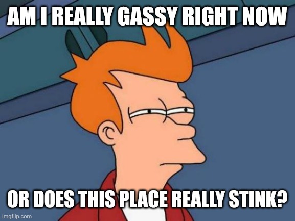 Stinky | AM I REALLY GASSY RIGHT NOW; OR DOES THIS PLACE REALLY STINK? | image tagged in memes,futurama fry,stinky,farts | made w/ Imgflip meme maker
