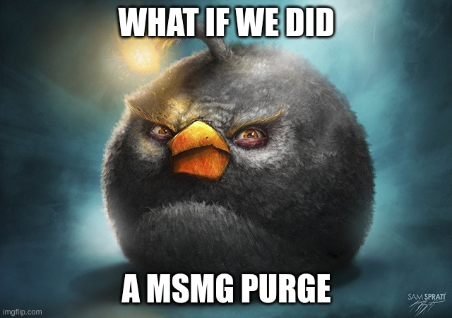 for 12 hours | WHAT IF WE DID; A MSMG PURGE | image tagged in hd angry bird bomb | made w/ Imgflip meme maker