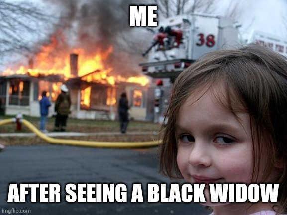 Disaster Girl | ME; AFTER SEEING A BLACK WIDOW | image tagged in memes,disaster girl | made w/ Imgflip meme maker