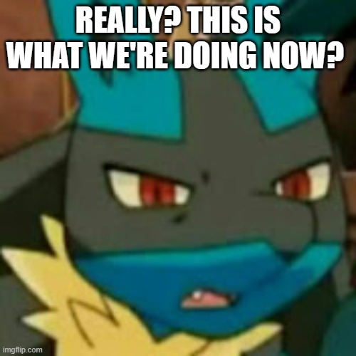 this is what we're doing now? | REALLY? THIS IS WHAT WE'RE DOING NOW? | image tagged in lucario but emotionally confused | made w/ Imgflip meme maker