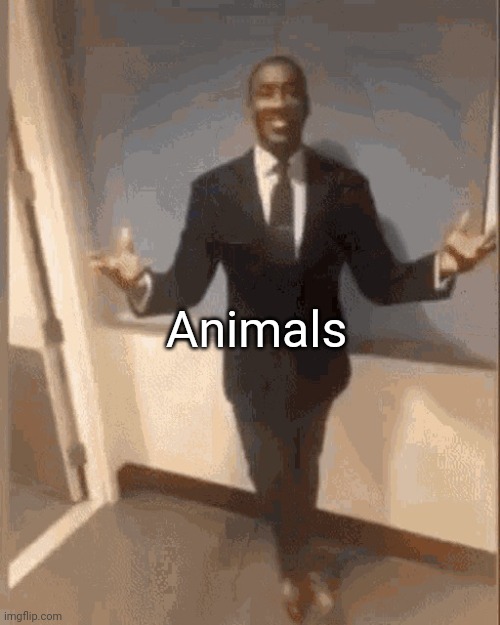 smiling black guy in suit | Animals | image tagged in smiling black guy in suit | made w/ Imgflip meme maker