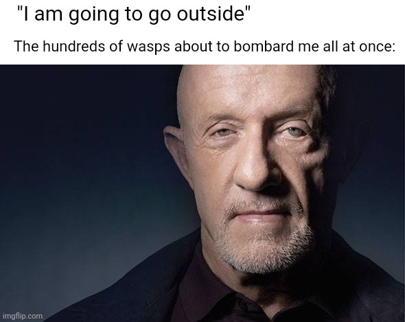 Doesn't this ever just happen at random intervals? | "I am going to go outside"; The hundreds of wasps about to bombard me all at once: | image tagged in kid named,wasp | made w/ Imgflip meme maker