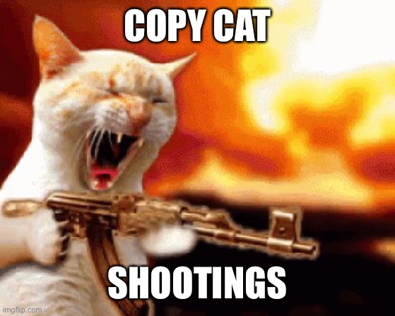 Stop sensationalizing the crime. Sensationalize the punishment. | COPY CAT; SHOOTINGS | image tagged in shooting cat,sensationalize,copy cat | made w/ Imgflip meme maker
