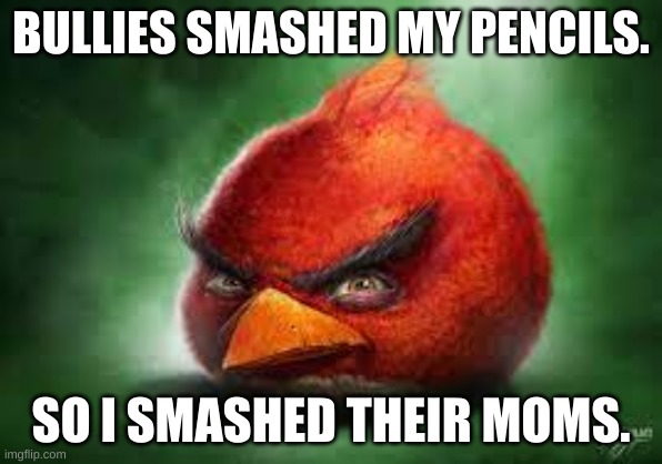 Realistic Red Angry Birds | BULLIES SMASHED MY PENCILS. SO I SMASHED THEIR MOMS. | image tagged in realistic red angry birds | made w/ Imgflip meme maker