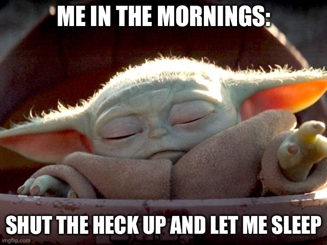 Baby Yoda | ME IN THE MORNINGS:; SHUT THE HECK UP AND LET ME SLEEP | image tagged in baby yoda | made w/ Imgflip meme maker