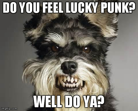 DO YOU FEEL LUCKY PUNK? WELL DO YA? | image tagged in angry dog | made w/ Imgflip meme maker