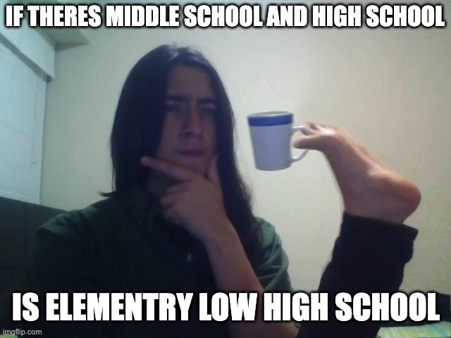 Hmmmm | IF THERES MIDDLE SCHOOL AND HIGH SCHOOL; IS ELEMENTRY LOW HIGH SCHOOL | image tagged in hmmmm | made w/ Imgflip meme maker